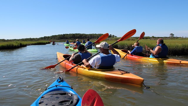 Visitors kayaking on the bayside of Assateague