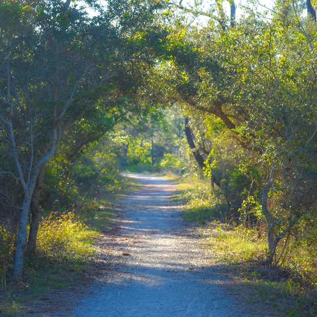 Florida