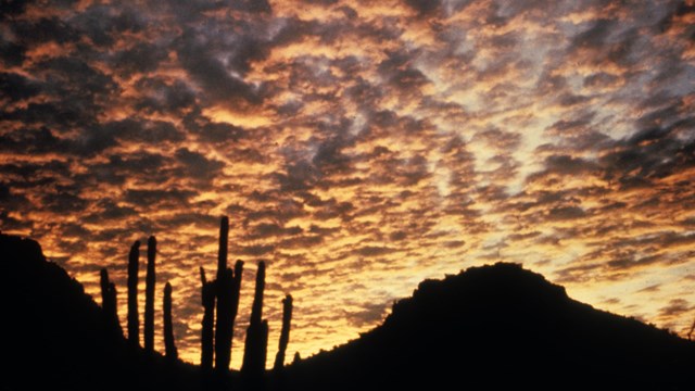 Rippling clouds reflect the colors of the sunset. Rocky hills and cacti stand in stark silhouette