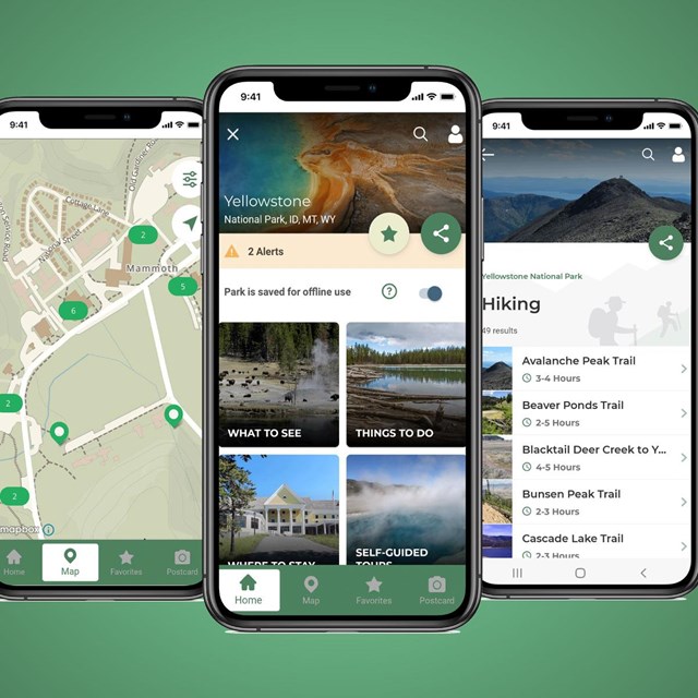 Smart phones showing NPS app home screen