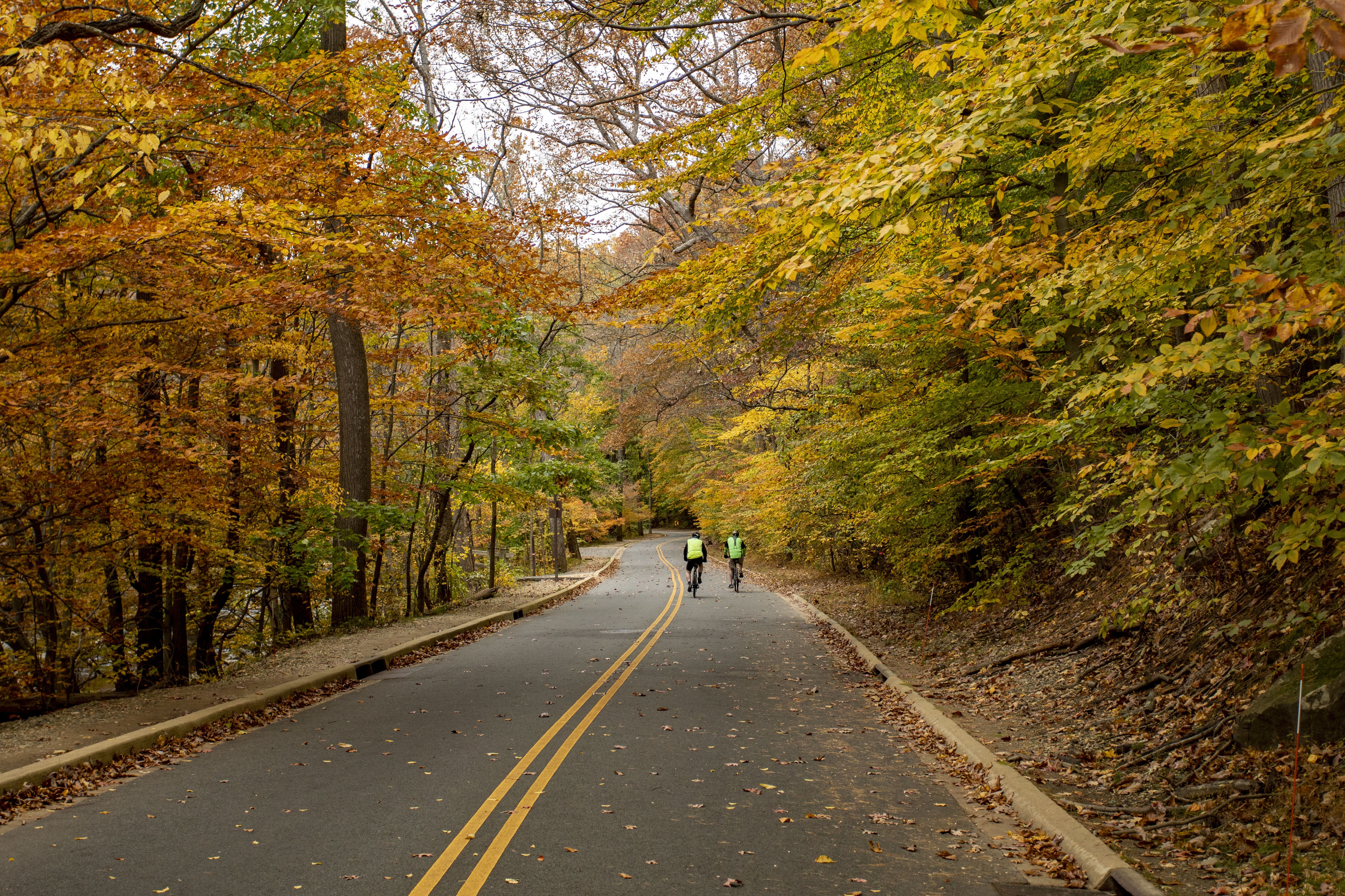 Bicyclists on Beach Drive Two bicyclists on Beach Drive during the fall.