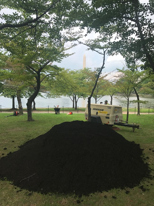 A mound of earth waiting to fill trenches on the ground under leafy trees
