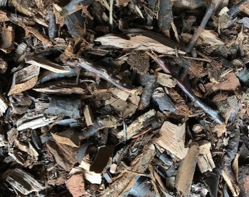 Wood Chips Dark brown wood chips spread on the ground